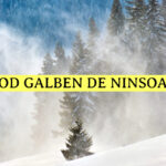 cod-galben-de-vant-puternic,-ploi-si-ninsori.-care-sunt-zonele-vizate-si-cat-timp-sunt-valabile-avertizarile-meteo