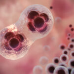 progres-urias-in-tratamentul-cancerului:-tratamentul-care-salveaza-vieti-ar-putea-deveni-ieftin-si-disponibil-imediat