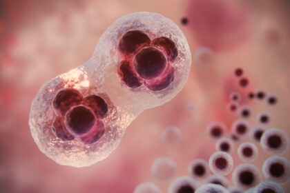 progres-urias-in-tratamentul-cancerului:-tratamentul-care-salveaza-vieti-ar-putea-deveni-ieftin-si-disponibil-imediat