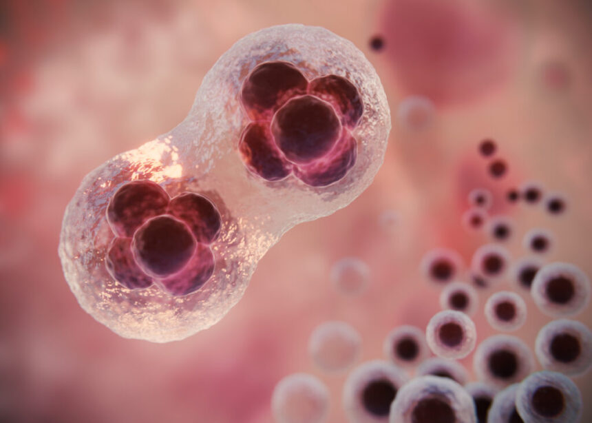 progres-urias-in-tratamentul-cancerului:-tratamentul-care-salveaza-vieti-ar-putea-deveni-ieftin-si-disponibil-imediat