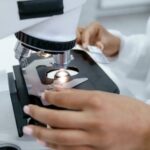 speranta-pentru-mii-de-bolnavi:-oamenii-de-stiinta-au-descoperit-secretul-care-poate-opri-cancerul-pancreatic