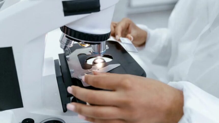 speranta-pentru-mii-de-bolnavi:-oamenii-de-stiinta-au-descoperit-secretul-care-poate-opri-cancerul-pancreatic