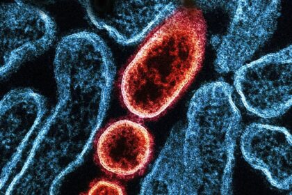 controale-amanuntite-in-aeroporturi-din-asia-dupa-ce-india-anunta-noi-infectii-cu-virusul-nipah