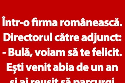 banc-|-bula-si-directorul