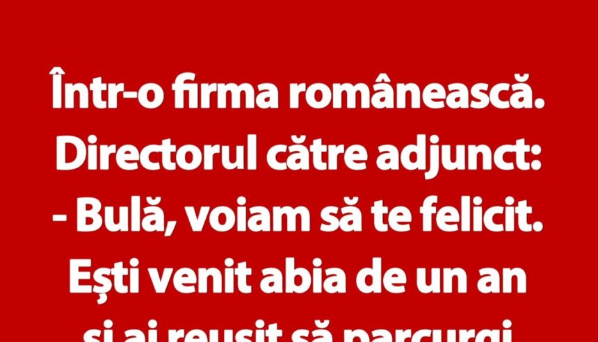 banc-|-bula-si-directorul