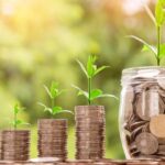 premiera-cum-poate-deveni-romania-capitala-„banilor-verzi”-ce-sunt-finantele-sustenabile-si-cum-trateaza-romanii-pietele-viitorului-–-economica.net