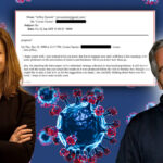 pandemia-covid-19,-anticipata-de-jeffrey-epstein?-miliardarul-si-corina-tarnita-lucrau-la-modelarea-matematica-a-evolutiei-virusurilor-inca-din-2009