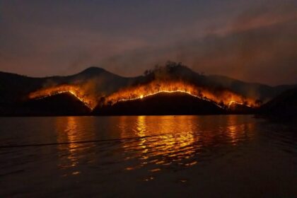 un-studiu-leaga-poluarea-cu-particule-din-fumul-incendiilor-forestiere-de-24.100-de-decese-pe-an