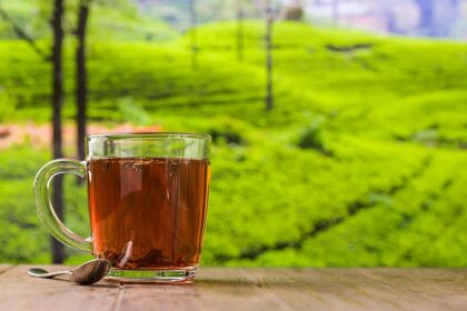 ceaiul-care-prelungeste-viata-si-reduce-riscul-de-deces-prematur.-este-printre-cele-mai-bogate-in-antioxidanti