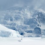 lumea-ascunsa-de-sub-antarctica.-ce-au-descoperit-expertii