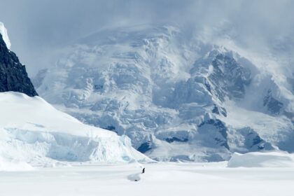 lumea-ascunsa-de-sub-antarctica.-ce-au-descoperit-expertii
