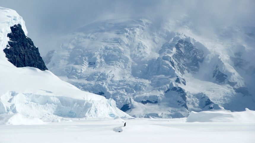 lumea-ascunsa-de-sub-antarctica.-ce-au-descoperit-expertii