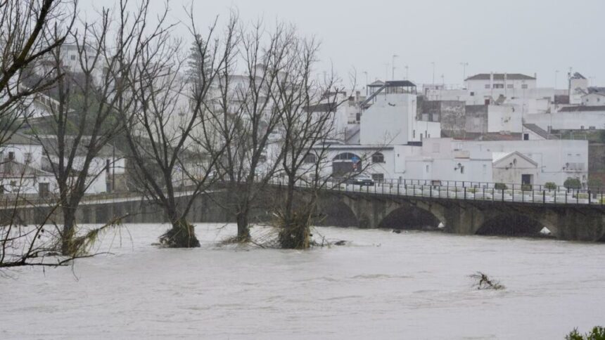 fermierii-anunta-pagube-catastrofale-dupa-ce-furtuna-marta-a-lovit-spania-si-portugalia