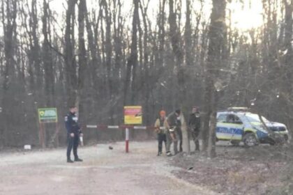 ministerul-mediului:-extinderea-drumului-forestier-din-padurea-baneasa-a-fost-realizata-fara-documentatia-legala-si-fara-aprobari-–-economica.net