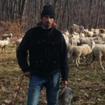 ce-salariu-are-un-cioban-la-oi-in-italia.-cat-ar-castiga-in-romania