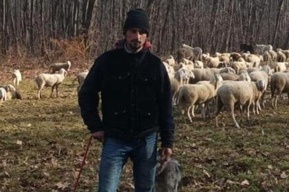 ce-salariu-are-un-cioban-la-oi-in-italia.-cat-ar-castiga-in-romania
