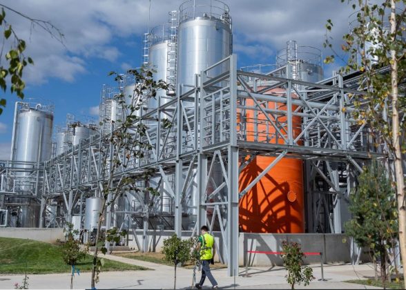 majorare-puternica-de-capital-a-gigantului-american-p&g-in-romania-a-adus-peste-180-de-milioane-de-lei-la-firmele-sale-din-tara-–-economica.net