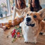 florile-raman-cadoul-cu-risc-minim-si-impact-maxim-–-studiu-lego-de-valentines-day-–-economica.net