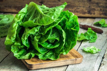 salata-verde-nu-se-va-inmuia-sau-nu-se-va-ofili,-timp-de-doua-saptamani,-daca-faci-un-lucru-simplu-aflat-la-indemana-oricui