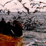 delta-dunarii:-intre-gheata-si-speranta.-douazeci-de-ani-de-supravietuire-la-capatul-hartii