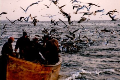 delta-dunarii:-intre-gheata-si-speranta.-douazeci-de-ani-de-supravietuire-la-capatul-hartii