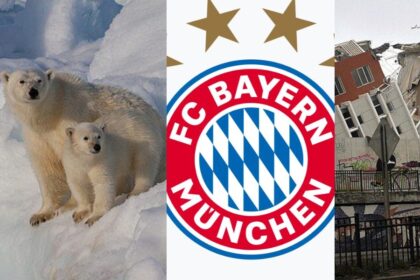 27-februarie,-calendarul-zilei:-ziua-internationala-a-ursului-polar-bayern-munchen-implineste-126-de-ani.-cutremur-de-8,8-grade-zguduie-chile