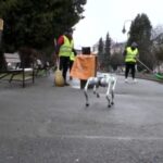 orasul-din-romania-in-care-robotii-fac-ordine-pe-strazi.-va-rugam-sa-pastrati-curatenia!-colectati-deseurile-selectiv!