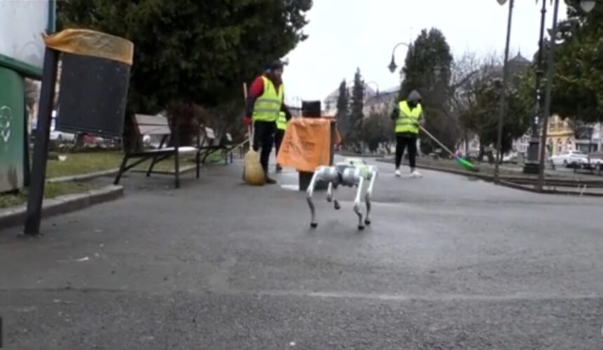 orasul-din-romania-in-care-robotii-fac-ordine-pe-strazi.-va-rugam-sa-pastrati-curatenia!-colectati-deseurile-selectiv!