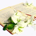 lucrurile-inimaginabile-pe-care-le-face-poezia-in-creierul-tau
