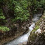 valcea-lanseaza-oltentic-muse,-un-program-pilot-de-promovare-strategica-a-destinatiei-|-revista-biz-–-prima-revista-de-business-din-romania