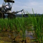 financial-times:-dupa-criza-petrolului,-vine-criza-alimentara-preturile-ingrasamintelor-au-crescut-brusc.