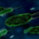 noile-moduri-surprinzatoare-prin-care-se-raspandesc-bacteriile