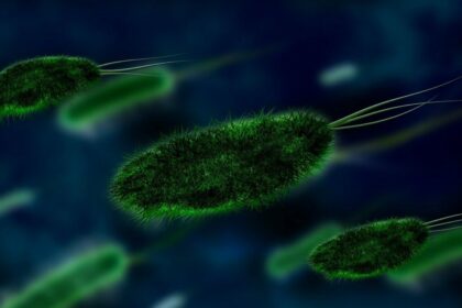 noile-moduri-surprinzatoare-prin-care-se-raspandesc-bacteriile