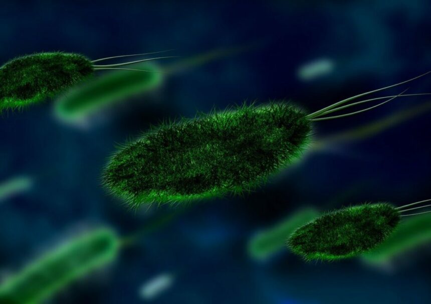 noile-moduri-surprinzatoare-prin-care-se-raspandesc-bacteriile
