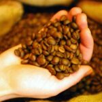 preturile-globale-ale-cafelei,-blocate-intre-recoltele-record-si-perturbarile-din-hormuz