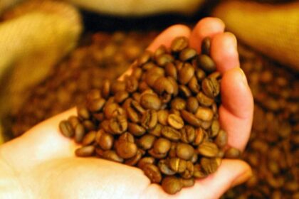 preturile-globale-ale-cafelei,-blocate-intre-recoltele-record-si-perturbarile-din-hormuz