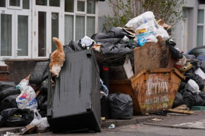 cum-a-ajuns-romania-sa-importe-gunoiul-europei.-mecanismele-care-au-deschis-larg-portile-pentru-deseuri