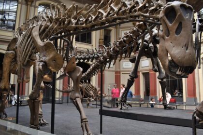 apocalipsa-uitata.-prima-extinctie-in-masa-din-istoria-pamantului,-ascunsa-sub-ochii-nostri