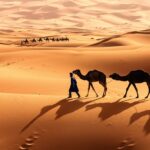 a-fost-gasit-locul-unde-camilele-se-tem-sa-mearga.-este-descris-ca-un-desert-in-interiorul-unui-desert,-iar-peisajul-este-infiorator