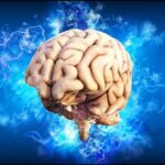 metformina,-medicamentul-recomandat-pentru-diabet,-actioneaza-direct-la-nivel-cerebral