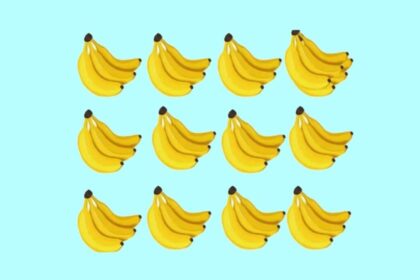 test-de-perspicacitate-|-cate-banane-sunt,-de-fapt,-in-aceasta-imagine?
