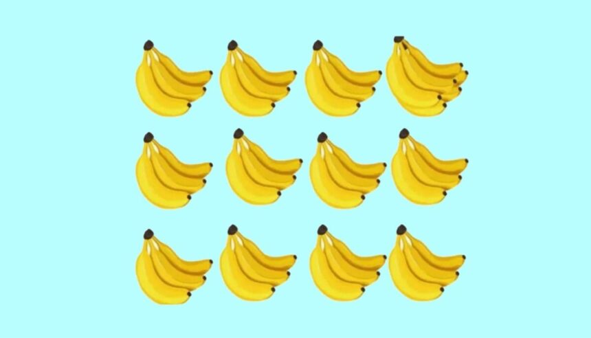 test-de-perspicacitate-|-cate-banane-sunt,-de-fapt,-in-aceasta-imagine?