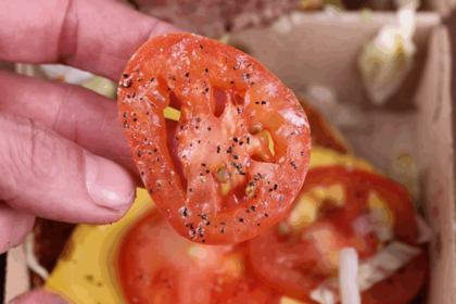 pasionat-de-gradinarit,-un-barbat-a-plantat-seminte-de-rosii-dintr-un-burger-de-la-mcdonalds.-ireal-ce-s-a-intamplat-3-luni-mai-tarziu