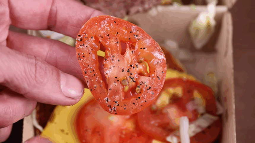 pasionat-de-gradinarit,-un-barbat-a-plantat-seminte-de-rosii-dintr-un-burger-de-la-mcdonalds.-ireal-ce-s-a-intamplat-3-luni-mai-tarziu