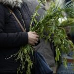traditii-si-superstitii-de-florii:-ce-este-bine-sa-faci-cu-salcia-sfintita-si-ce-este-interzis-in-aceasta-zi