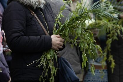 traditii-si-superstitii-de-florii:-ce-este-bine-sa-faci-cu-salcia-sfintita-si-ce-este-interzis-in-aceasta-zi
