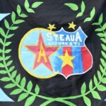 au-castigat-titluri-cu-fcsb-si-reactioneaza,-dupa-verdictul-instantei:-acest-brand-a-ajuns-mai-valoros.-copiii-n-o-sa-mai-stie-de-steaua
