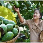 secretul-avocado-care-te-va-surprinde:-fructul-care-nu-se-coace-in-copac