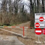 care-este-pozitia-locuitorilor-din-cartierul-de-langa-padurea-baneasa-dupa-denuntarea-unilaterala-a-contractului-de-utilizare-a-drumului-forestier-pentru-traficul-auto?-urmatorii-pasi