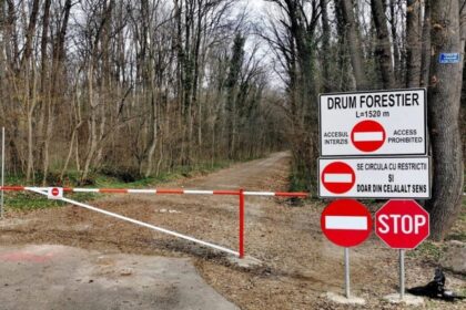 care-este-pozitia-locuitorilor-din-cartierul-de-langa-padurea-baneasa-dupa-denuntarea-unilaterala-a-contractului-de-utilizare-a-drumului-forestier-pentru-traficul-auto?-urmatorii-pasi